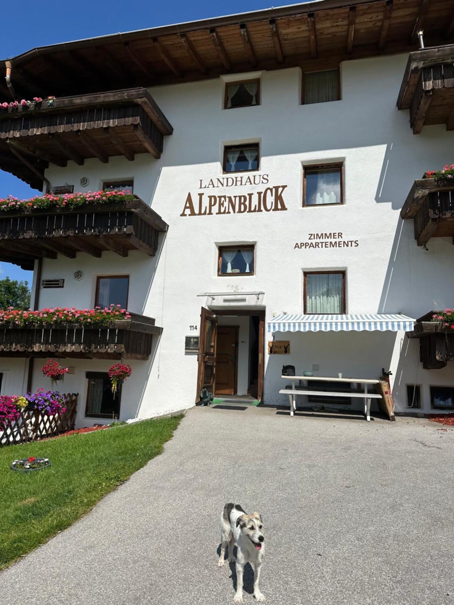 Landhaus Alpenblick Obsteig Exterior foto